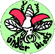 UnderWings Logo - Drawn by: John Weir an UnderWings Member in 1992